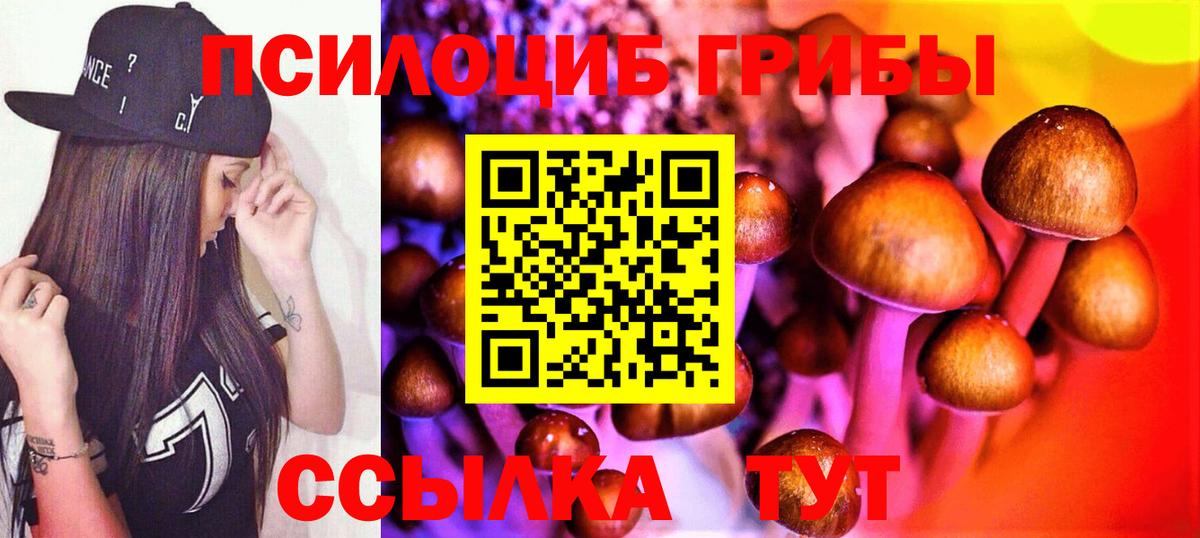 Электросталь  Галлюциногенные грибы Magic Shrooms  как найти закладки  Вход с VPN 